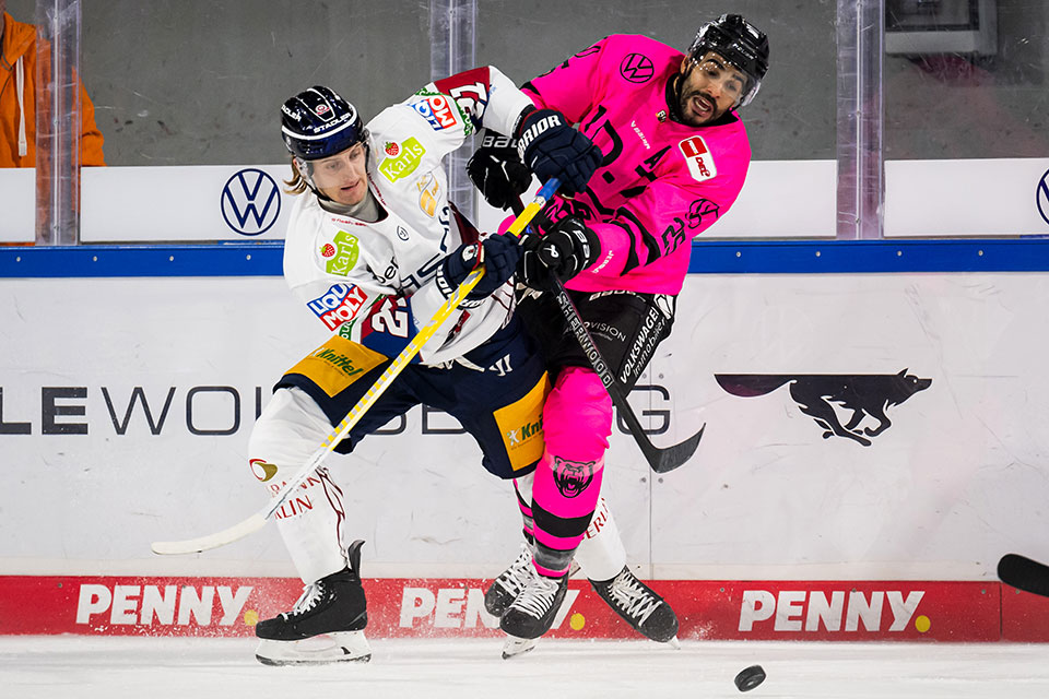 Nach zwei Tagen treffen Eisbren und Grizzlys erneut aufeinander.