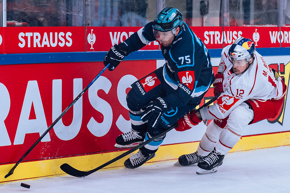 Salzuburgs Michael Raffl und Ingolstadts Alex Breton. Salzuburgs Michael Raffl und Ingolstadts Alex Breton.