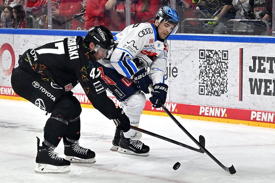 Spielszene Köln gegen Ingolstadt. Spielszene Köln gegen Ingolstadt.