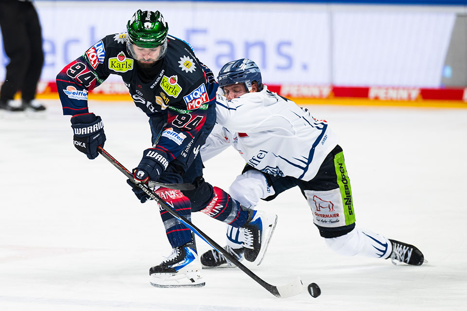 Liam Kirk von den Eisbären Berlin und Mario Zimmermann von den Straubing Tigers. Liam Kirk von den Eisbären Berlin und Mario Zimmermann von den Straubing Tigers.